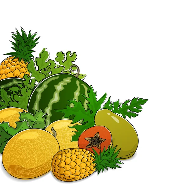 Bayas y frutas tropicales jugosas — Vector de stock