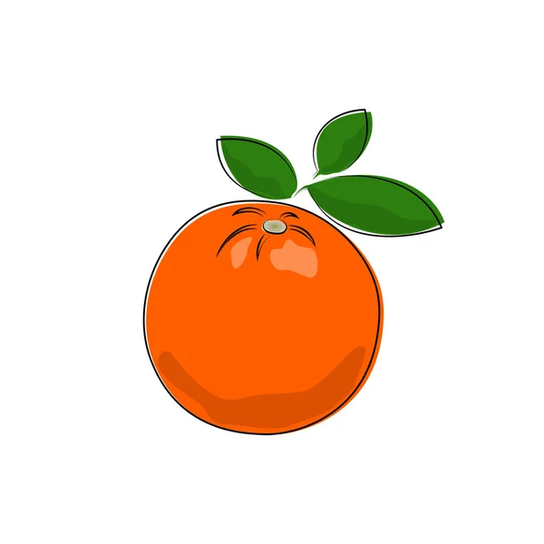 Оранжевый на белом — стоковый вектор