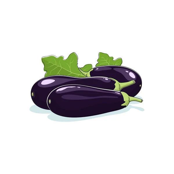 Eggplant Isolated on White — Stock Vector