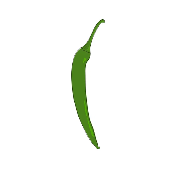 Zöld forró chili paprika izolált fehér — Stock Vector