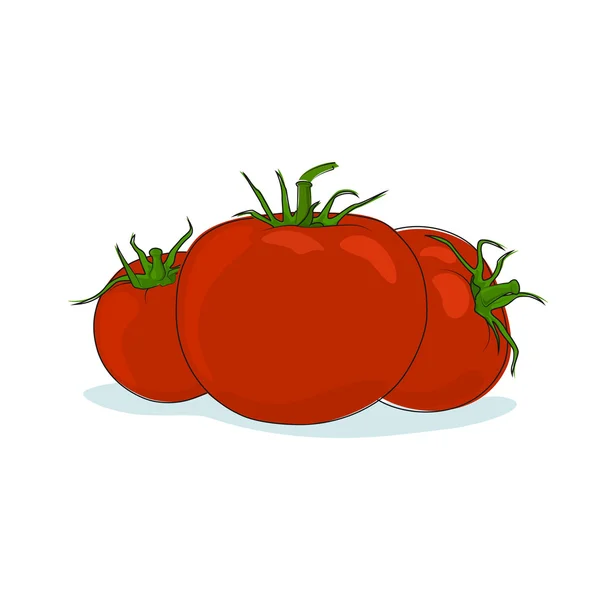 Tomaten geïsoleerd op wit — Stockvector