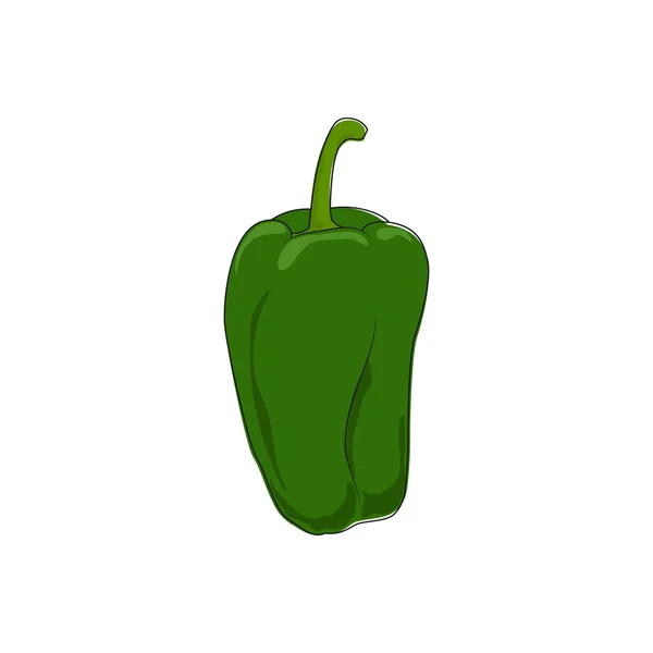 Green Bell Pepper Isolated on White — Stock Vector