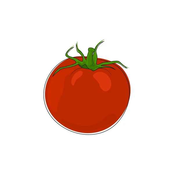 Tomate isolée sur fond blanc — Image vectorielle