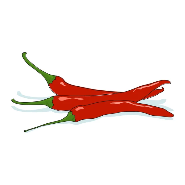 Red Hot Chili Pepper Isolated on White — Stock Vector