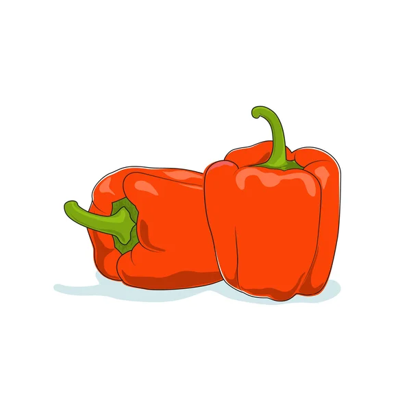 Oranje paprika geïsoleerd op wit — Stockvector