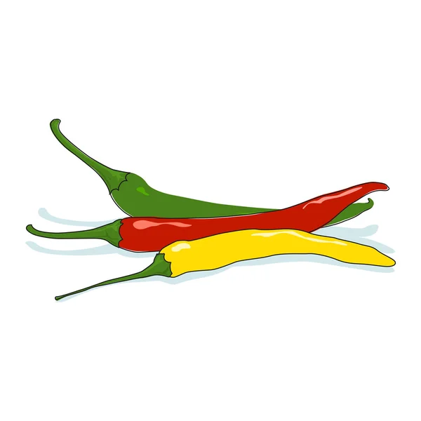 Hot chili peper op witte geïsoleerd — Stockvector