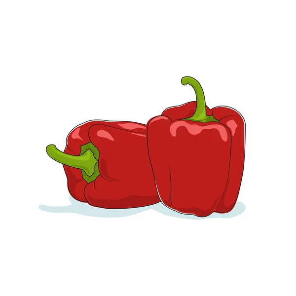 Rode paprika geïsoleerd op wit — Stockvector