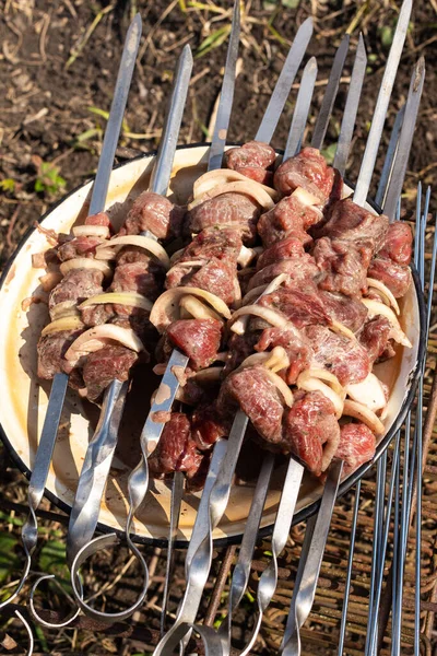 Relaxando Jardim Natureza Suculentos Kebabs Cabra Selvagem Espetos Troféu Caçador — Fotografia de Stock