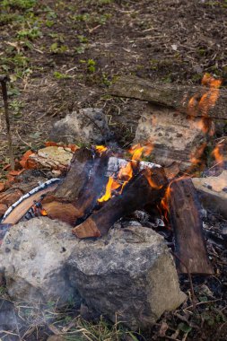 Bahçede dinlenmek, mangal yapmak için ateş yakmak, kiraz ağacından ateş yakmak