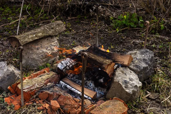 Rest Garden Nature Preparing Fire Making Barbecue Fire Cherry Wood — Stock Photo, Image