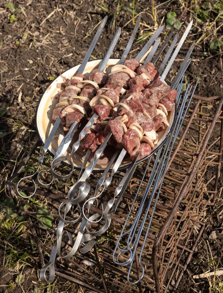 Relaxing Garden Nature Juicy Wild Goat Kebabs Skewers Hunter Trophy — Stock Photo, Image