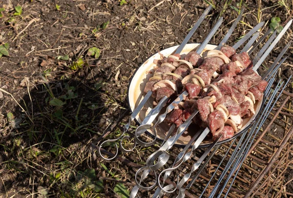 Kebabs de cabra selvagens em espetos — Fotografia de Stock