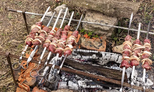 Kebabs de cabra selvagens em espetos — Fotografia de Stock