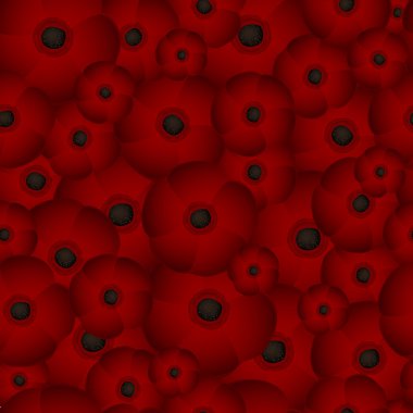 Seamless background of poppies, vector illustration