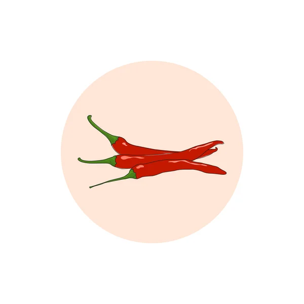 Symbol rote scharfe Chilischote — Stockvektor