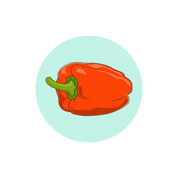 Pictogram oranje paprika, zoete peper of capsicum — Stockvector