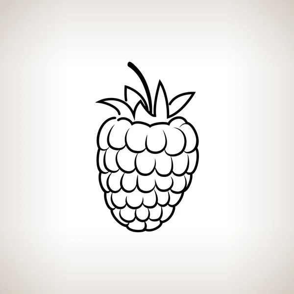 Kontür ahududu