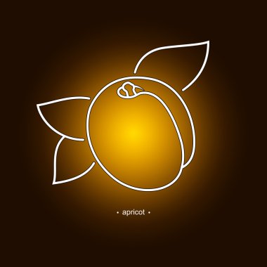 görüntü içinde kontür kayısı