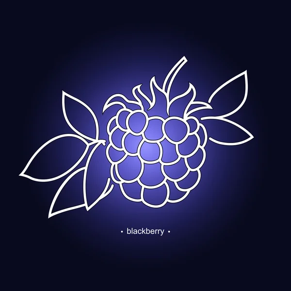 Blackberry in the Contours — Stock Vector