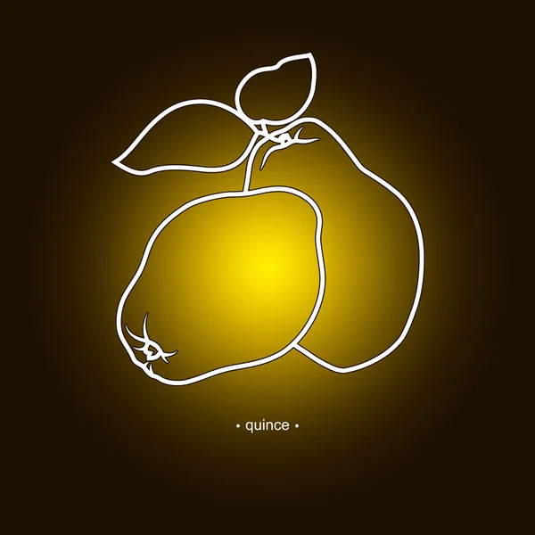 Quince in the Contours — ストックベクタ