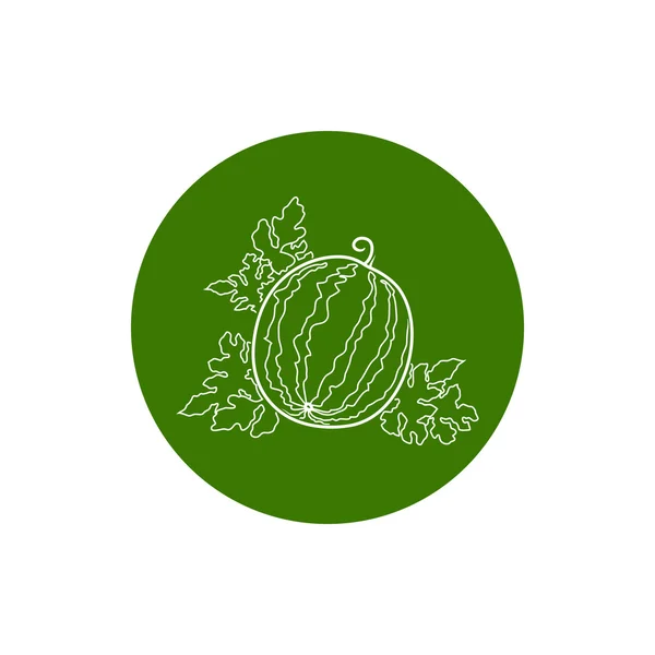 Icon Watermelon in the Contours — Stock Vector