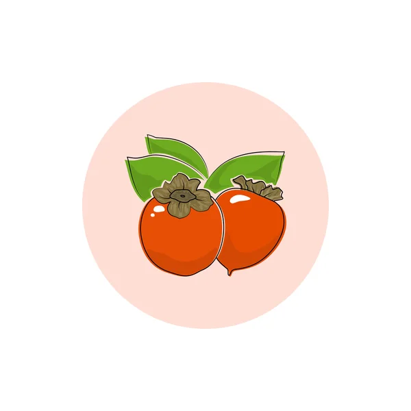 图标多彩柿 — 图库矢量图片