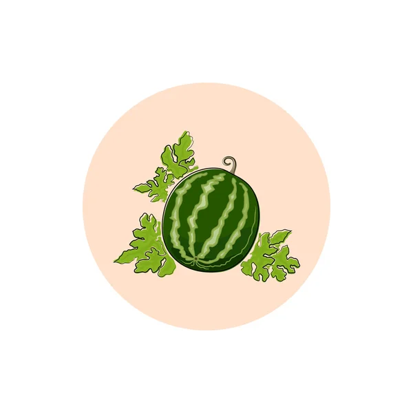 Icon Colorful Watermelon — Stock Vector