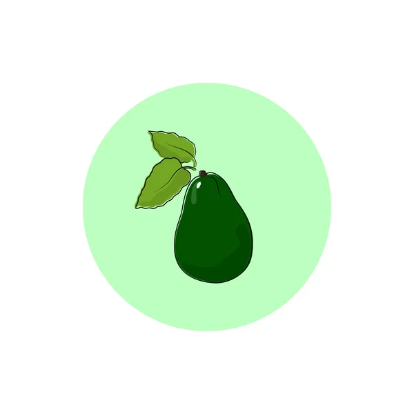 Красочный авокадо — стоковый вектор