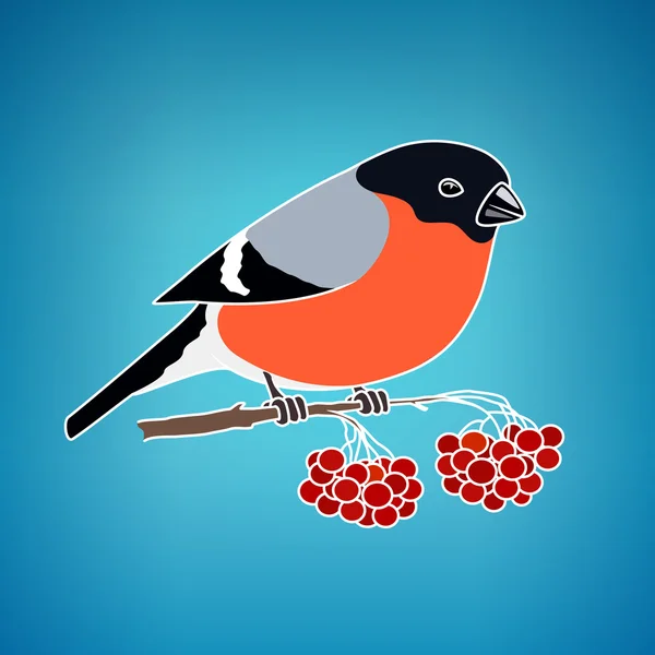 Bullfinch colorido em um fundo azul — Vetor de Stock