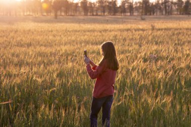 Parlak bir tarlanın arka planında batan güneşin ışığında elinde akıllı bir telefon ve uzun saçlı bir kız..