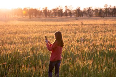 Parlak bir tarlanın arka planında batan güneşin ışığında elinde akıllı bir telefon ve uzun saçlı bir kız..