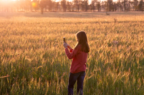 Parlak bir tarlanın arka planında batan güneşin ışığında elinde akıllı bir telefon ve uzun saçlı bir kız..