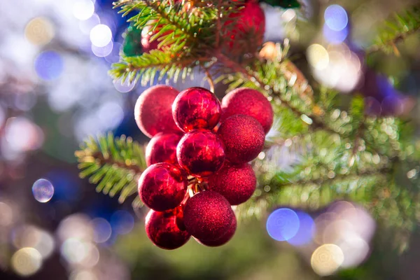 New Year Red Toy Balls Christmas Tree Branch Background Blurred — Stock Photo, Image