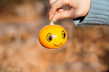 Bulanık sonbahar yapraklarının arka planında gülen bir yüzü olan küçük bir balkabağı..