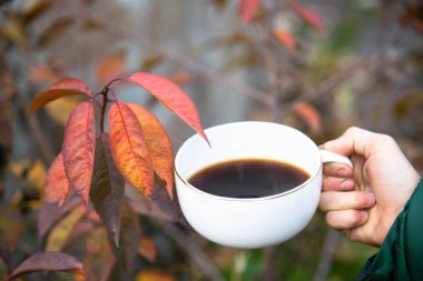 Bahçedeki sonbahar yapraklarının arka planında bir çocuğun elinde sıcak çikolata olan Beyaz Kupa