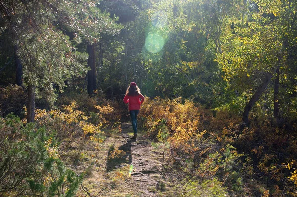 Ein Mädchen Mit Langen Haaren Läuft Einem Sonnigen Herbstwald Davon — Stockfoto