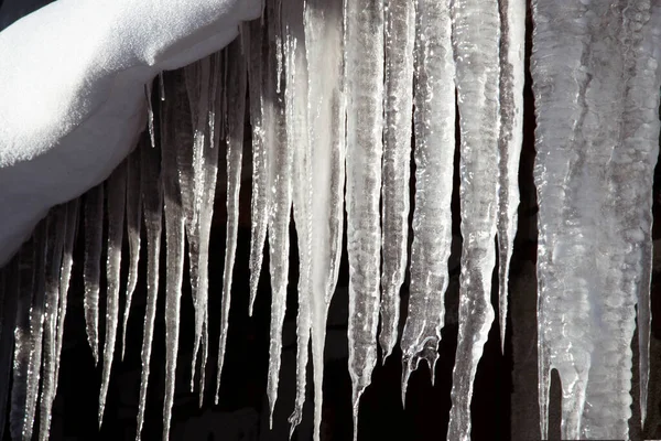 Grandes Ciclones Pendurados Uma Fileira Dia Ensolarado Inverno Fundo Inverno — Fotografia de Stock