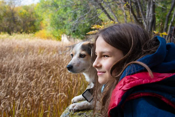 Ein Kleiner Hund Und Ein Mädchen Die Sich Umarmen Blicken — Stockfoto