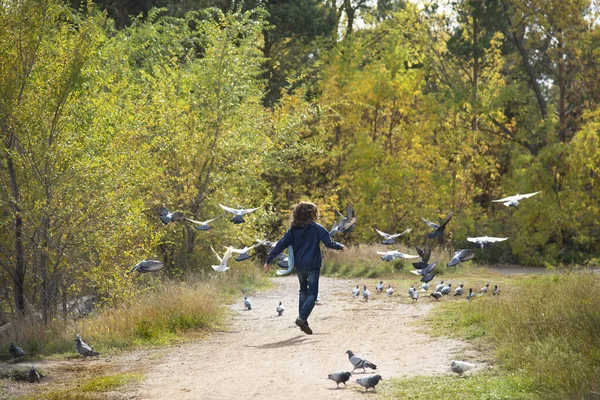 Una Chica Corre Tras Palomas Parque Día Soleado Otoño Las — Foto de Stock