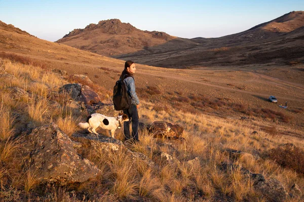 Chica Con Perro Excursión Montaña Una Chica Con Perro Baja — Foto de Stock