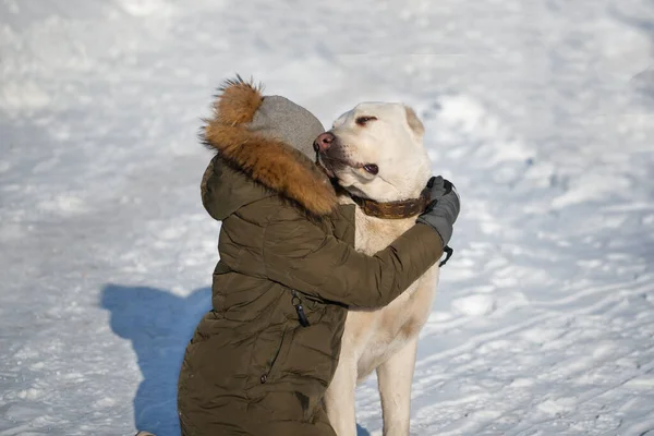 Una Ragazza Abiti Invernali Abbraccia Grande Cane Bianco Uno Sfondo — Foto Stock