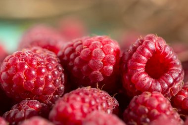 Kırmızı ahududu yakından. Sağlıklı vitamin gıdaları. Böğürtlenler soğuk algınlığını tedavi eder.