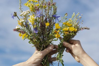 Çocuklar ve yaşlı eller gökyüzüne karşı bir buket yabani çiçekle birleşir. Yaşlılık ve çocukluk kavramı..