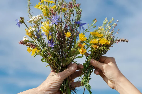 Children's and old hands join with bouquets of wild flowers against the sky. The concept of old age and childhood together.