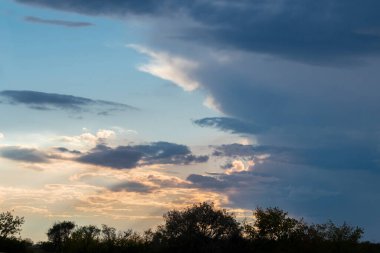 Kırmızı böğürtlen, çilek ve kuşüzümü. Lezzetli doğal vitamin konsepti
