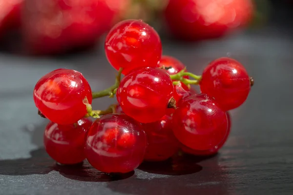 Kırmızı Frenk Üzümü Yakından Sağlıklı Vitamin Meyvesi Konsepti — Stok fotoğraf