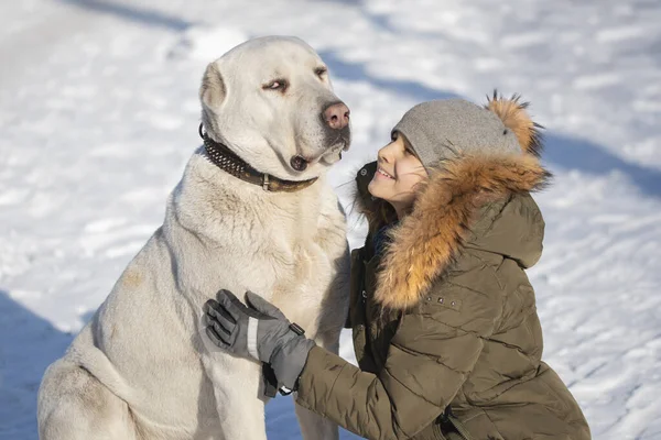 Uma Menina Sorridente Com Chapéu Inverno Grande Cão Branco Conceito — Fotografia de Stock