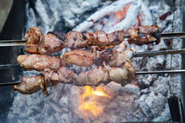 Ormandaki ateşte ızgara. Yemek turisti kavramı.