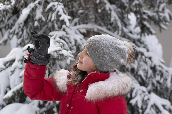 겨울의 뜨개질 모자를 소녀와 눈덮인 전나무를 배경으로 재킷을 겨울의 재미라는 — 스톡 사진