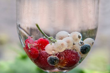 Frenk üzümü ve kiraz, bir bardak köpüklü suyun içinde. Uzayı kopyala Sağlıklı dut kavramı